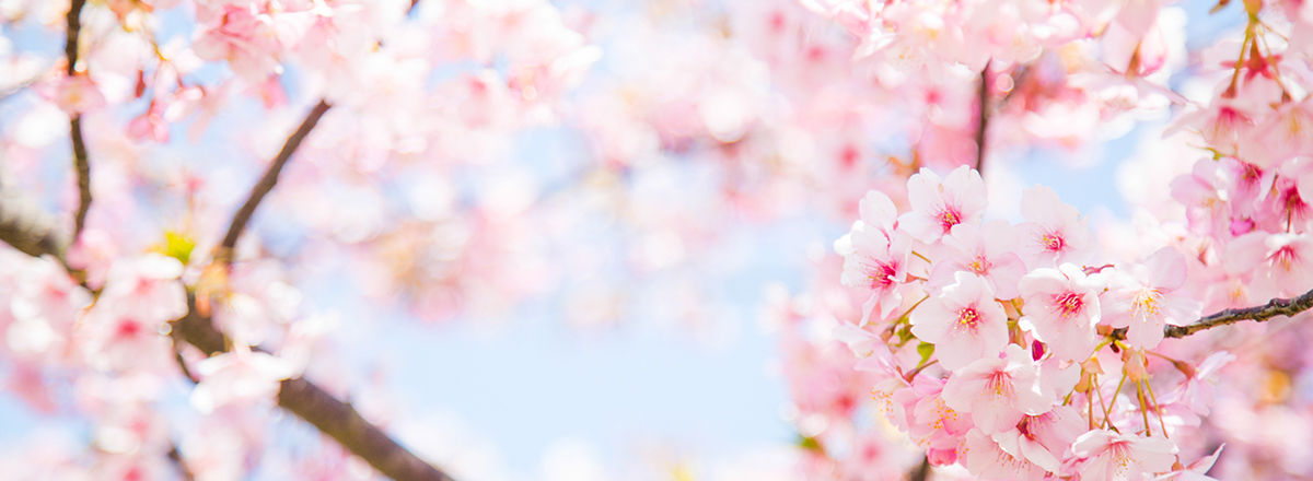 錠前工事・セキュリティ工事・オートロック修理 | 株式会社さくらロック | 大阪市